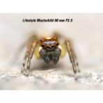 OM System M.Zuiko ED 90 mm F3,5 Macro IS Pro - Imagen 5