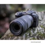 Canon RF 100-400 mm F5,6-8 IS USM - Imagen 5