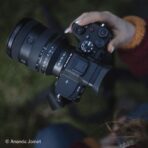 Sony 20-70 mm F4 Premium G FE - Imagen 5