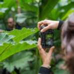 Sony Alpha 7C R Body – Silver - Imagen 5