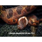 OM System M.Zuiko ED 90 mm F3,5 Macro IS Pro - Imagen 9