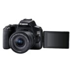 Canon EOS 250D (Black) + EF-S 18-55mm IS STM (Canon 3454C002) - Imagen 5